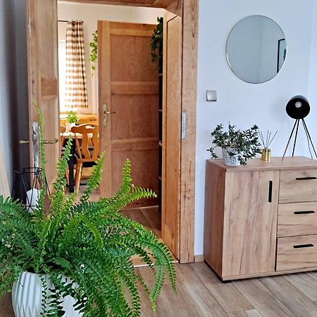 Apartament Dzika Roza Kowary Exteriér fotografie