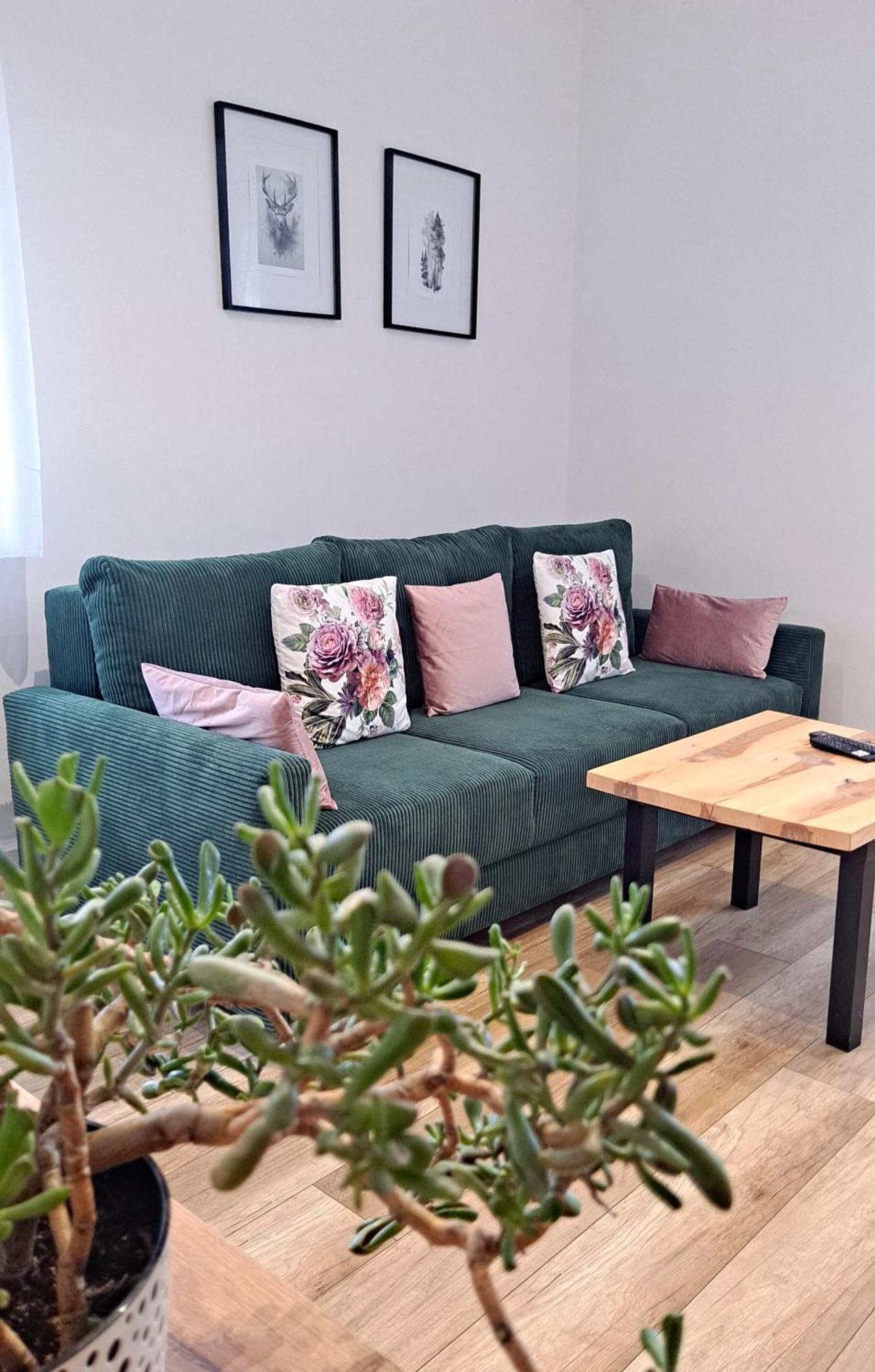 Apartament Dzika Roza Kowary Exteriér fotografie